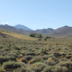 Arid above-ground landscape in the Payunia volcanic belt, near the site of the cave
